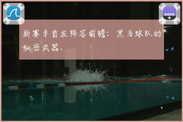 新赛季首发阵容前瞻:黑马球队的秘密武器。