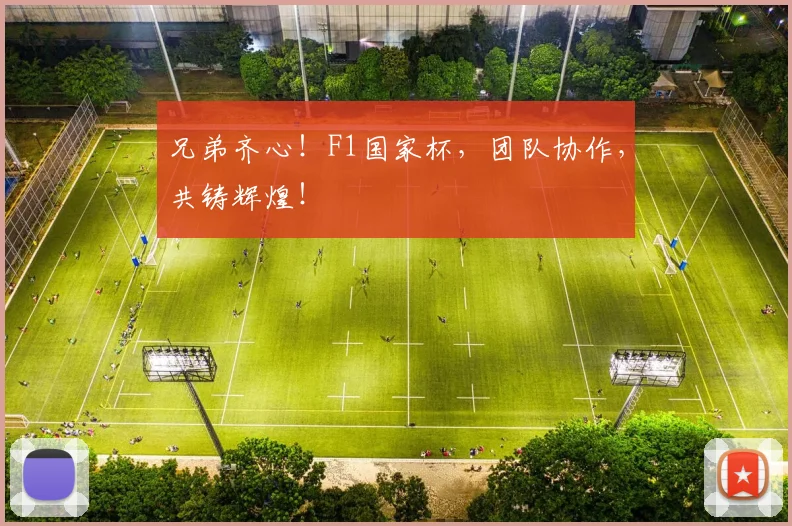 兄弟齐心！F1国家杯，团队协作，共铸辉煌！