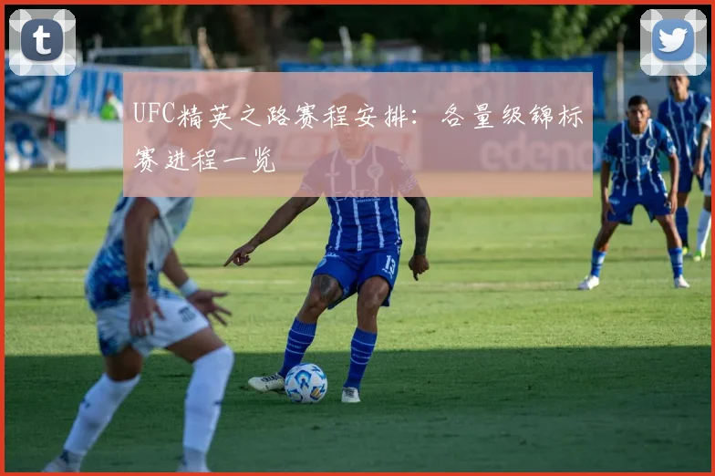 UFC精英之路赛程安排:各量级锦标赛进程一览