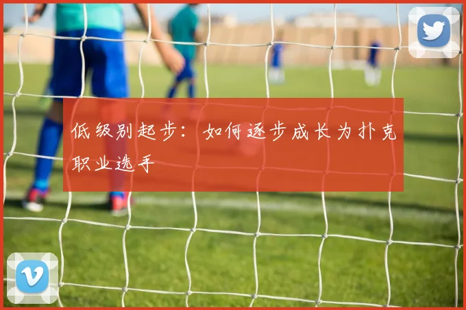 低级别起步：如何逐步成长为扑克职业选手