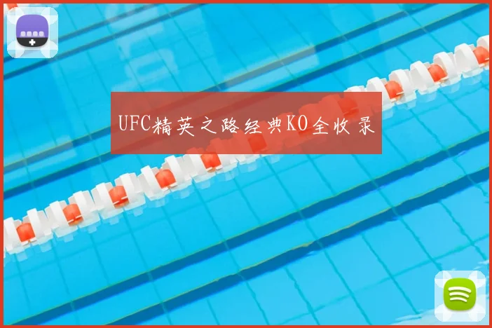 UFC精英之路经典KO全收录