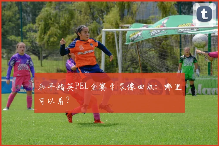 和平精英PEL全赛季录像回放:哪里可以看?