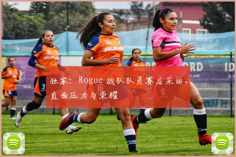独家：Rogue 战队队员赛后采访，直面压力与荣耀