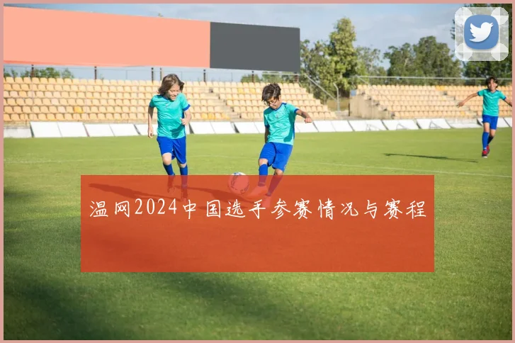 温网2024中国选手参赛情况与赛程