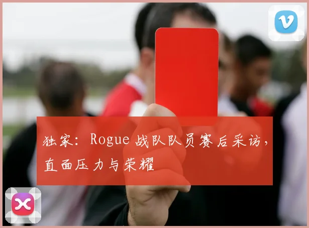 独家：Rogue 战队队员赛后采访，直面压力与荣耀