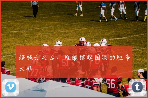 超级丹之后，谁能撑起国羽的胜率大旗