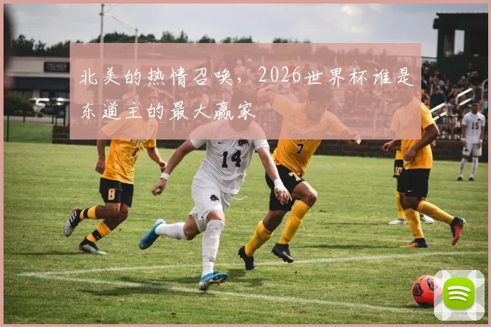 北美的热情召唤，2026世界杯谁是东道主的最大赢家